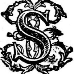 ilsecolo Logo